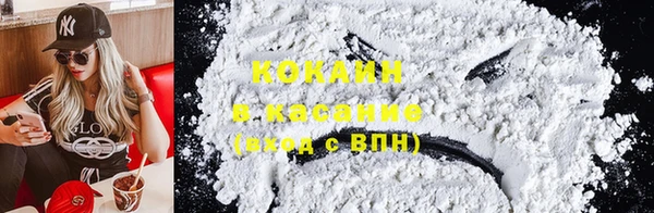 PSILOCYBIN Магас