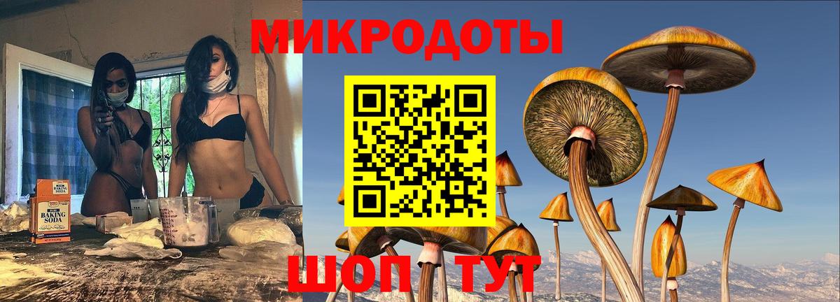 Галлюциногенные грибы MAGIC MUSHROOMS Юрга
